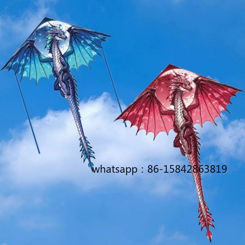 Kite Wind Outdoor - Neue Pterosaurier-Drachen, professionelle Winddrachen, Outdoor-Spielzeug, Sport-