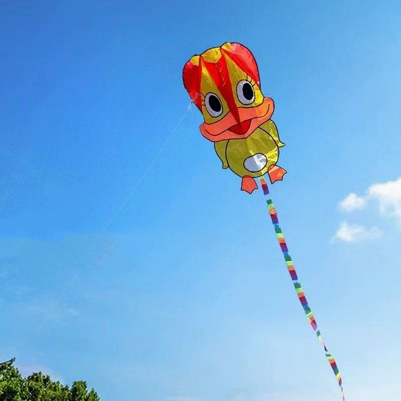 Kite Wind Outdoor - Aufblasbare Drachen, Enten-Drachen, Flugdrachen für Erwachsene,