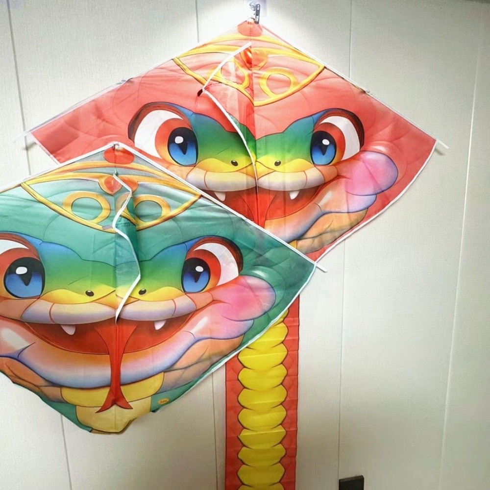 Kite Wind Outdoor - Leicht zu fliegender 4,75 m Schlangendrachen