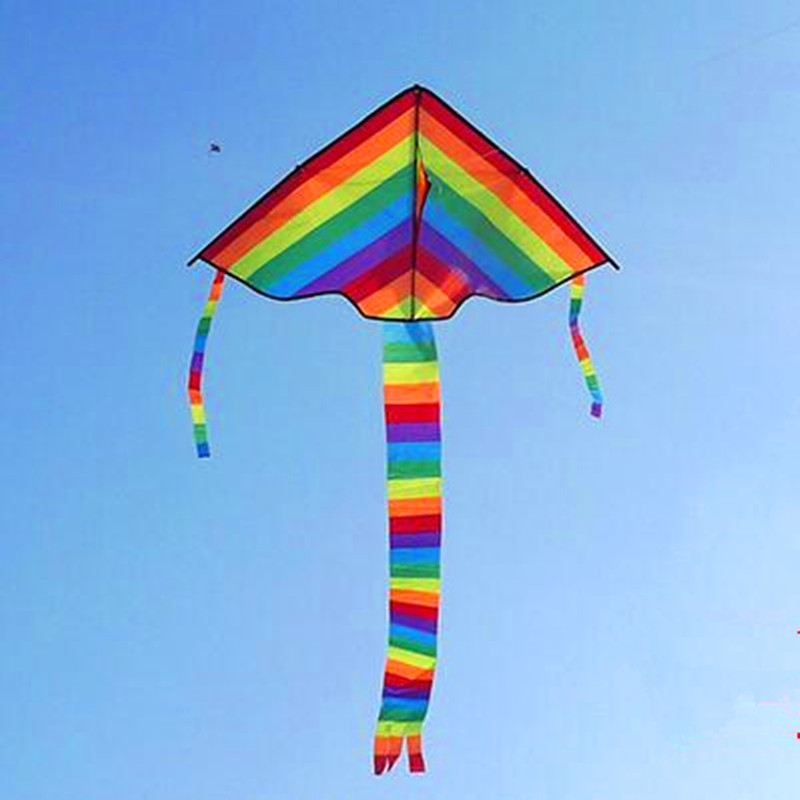Drachenflugspielzeug für Erwac – Kite Wind Outdoor Bewertung und Preis