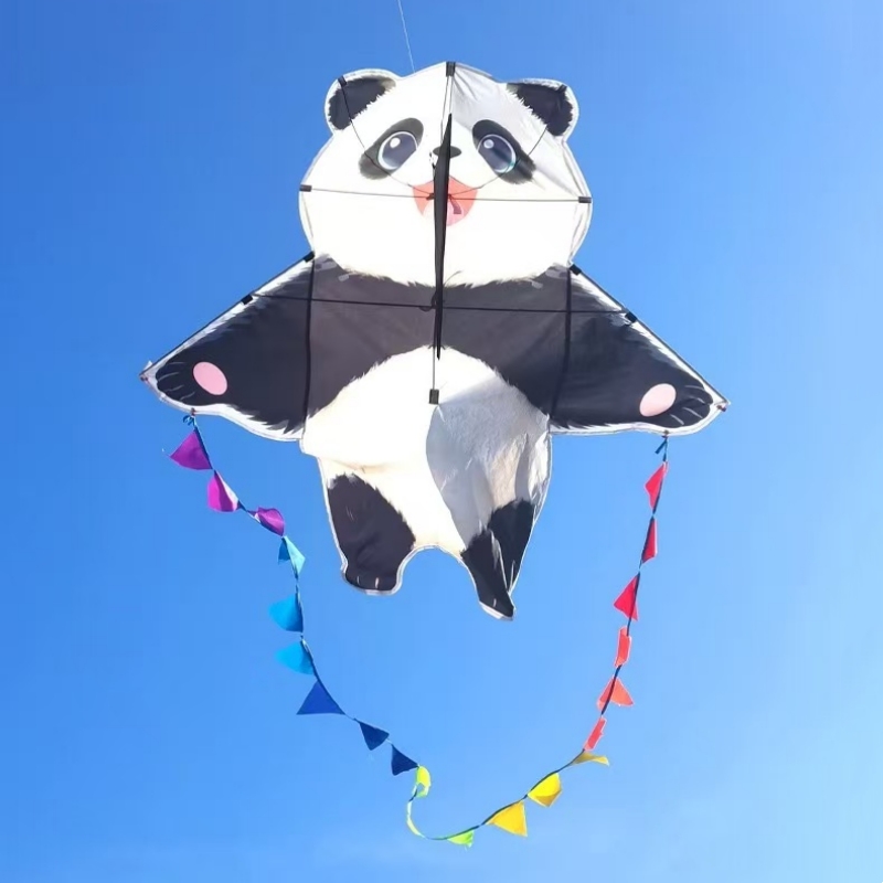 Panda-Lenkdrachen für Erwachse – Kite Wind Outdoor Bewertung und Preis