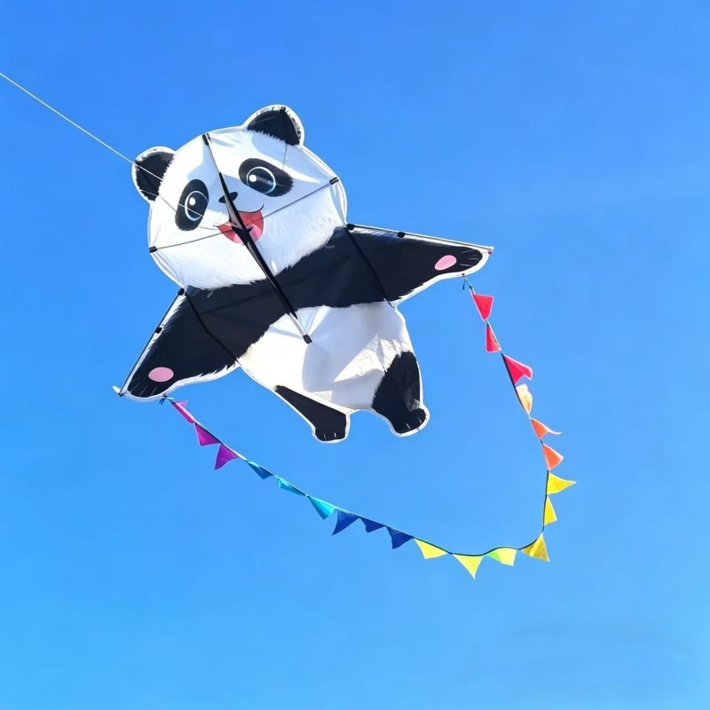 Panda-Lenkdrachen für Erwachse – Kite Wind Outdoor Bewertung und Preis