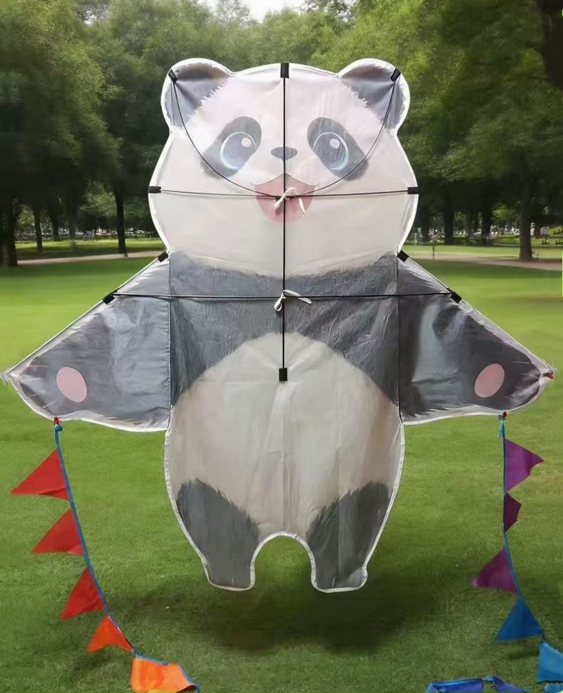 Panda-Lenkdrachen für Erwachse – Kite Wind Outdoor Bewertung und Preis