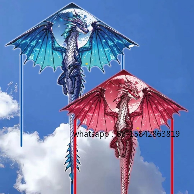 Neue Pterosaurier-Drachen, pro – Kite Wind Outdoor Bewertung und Preis