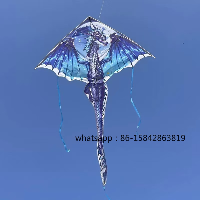 Neue Pterosaurier-Drachen, pro – Kite Wind Outdoor Bewertung und Preis