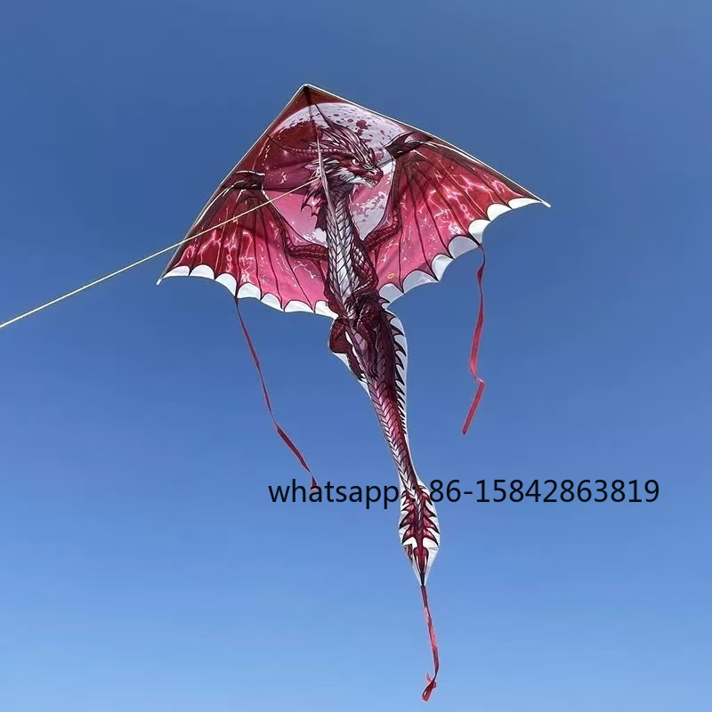 Neue Pterosaurier-Drachen, pro – Kite Wind Outdoor Bewertung und Preis