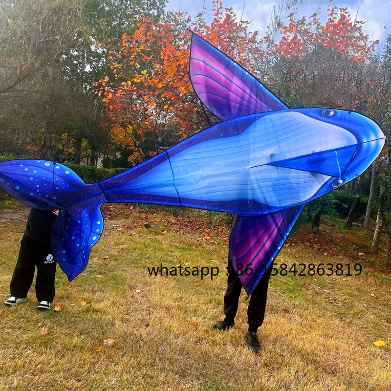 Kostenloser Versand: Wal-Lenkd – Kite Wind Outdoor Bewertung und Preis