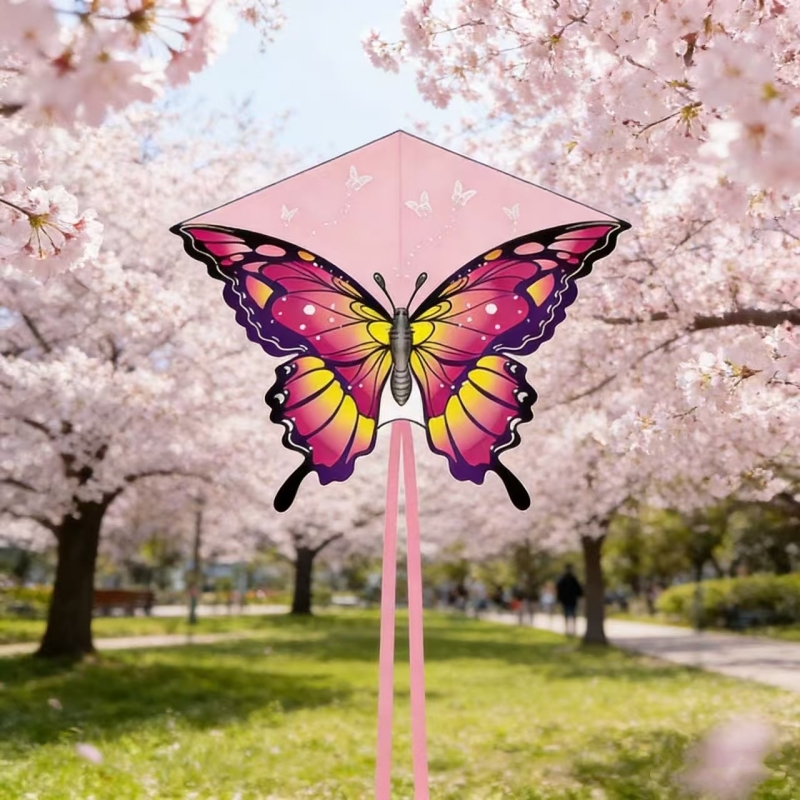 140 cm große Schmetterlingsdra – Kite Wind Outdoor Bewertung und Preis