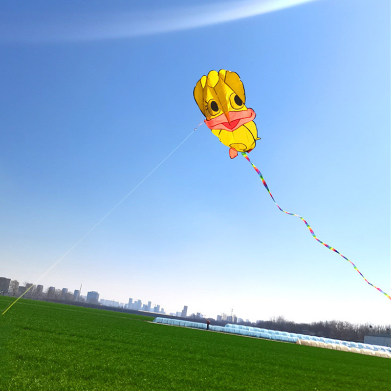 Aufblasbare Drachen, Enten-Dra – Kite Wind Outdoor Bewertung und Preis