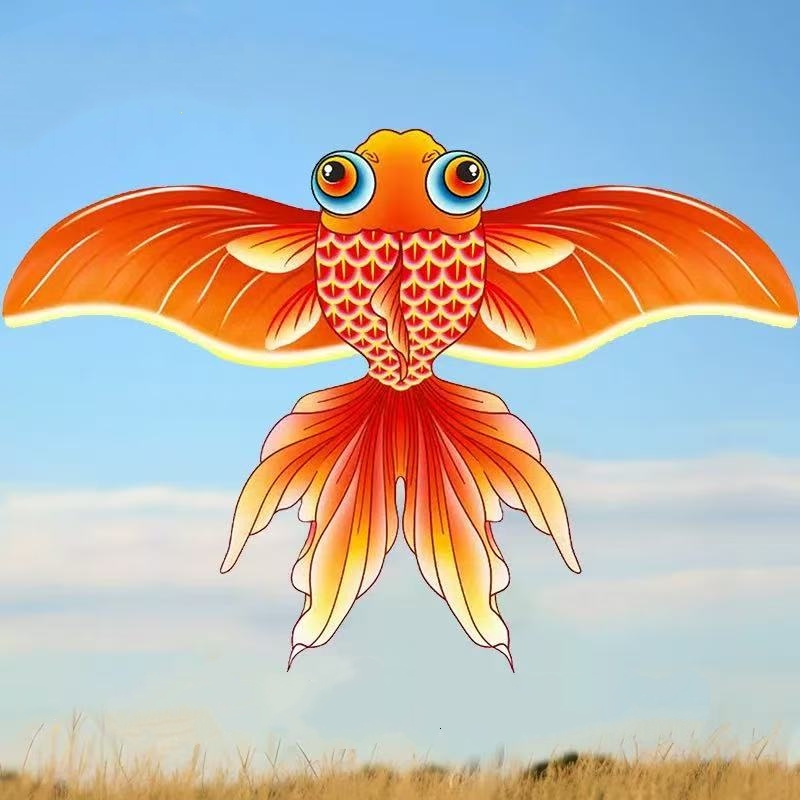 Taschenflugzeugdrachen mit Ang – Kite Wind Outdoor Bewertung und Preis