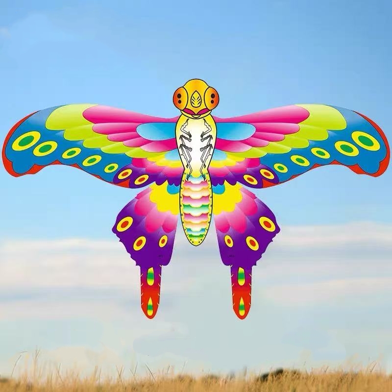 Taschenflugzeugdrachen mit Ang – Kite Wind Outdoor Bewertung und Preis