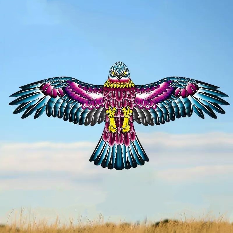Taschenflugzeugdrachen mit Ang – Kite Wind Outdoor Bewertung und Preis