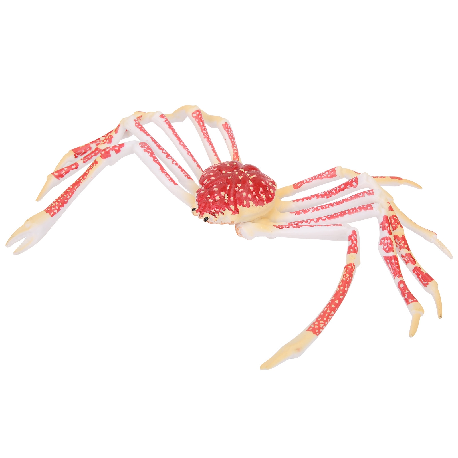 Simuliertes Krabbenmodell Deko – Kids Toys Home Bewertung und Preis