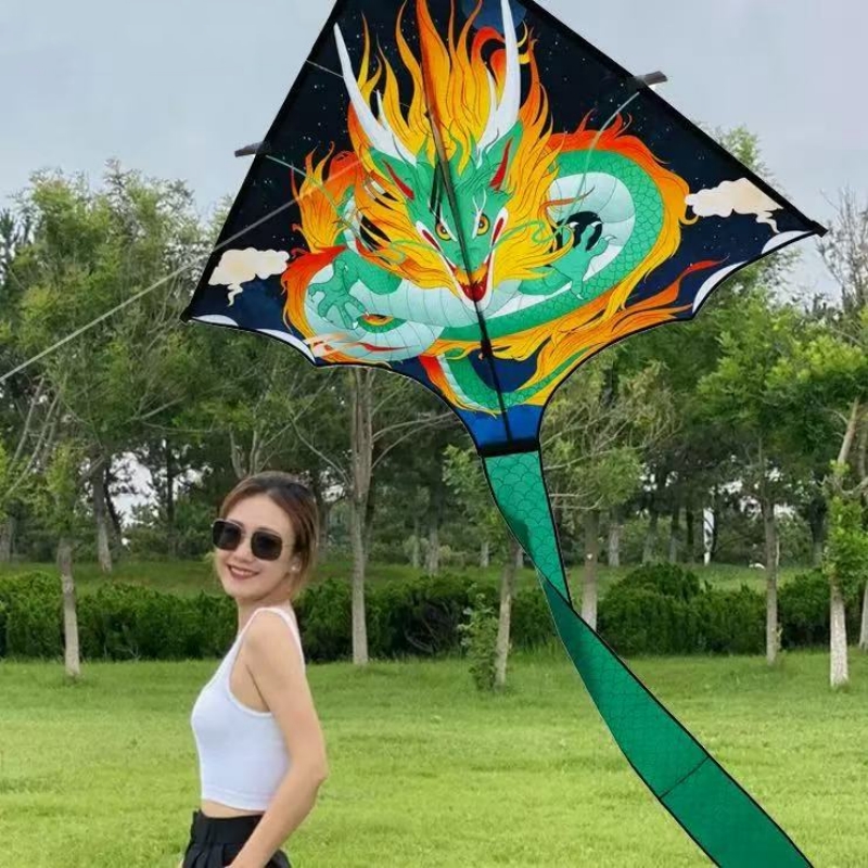 Drachen-Drachen-Fliegen-Spielz – Kite Wind Outdoor Bewertung und Preis
