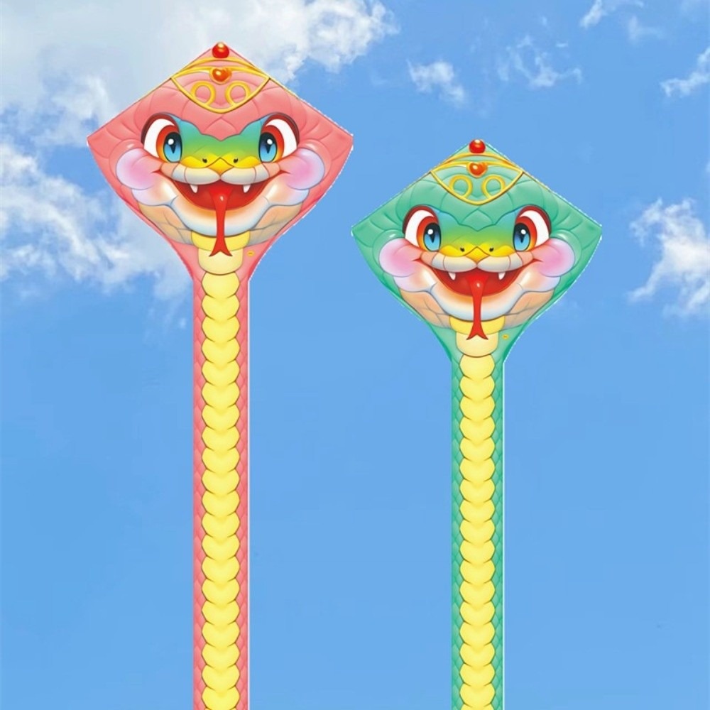 Leicht zu fliegender 4,75 m Sc – Kite Wind Outdoor Bewertung und Preis