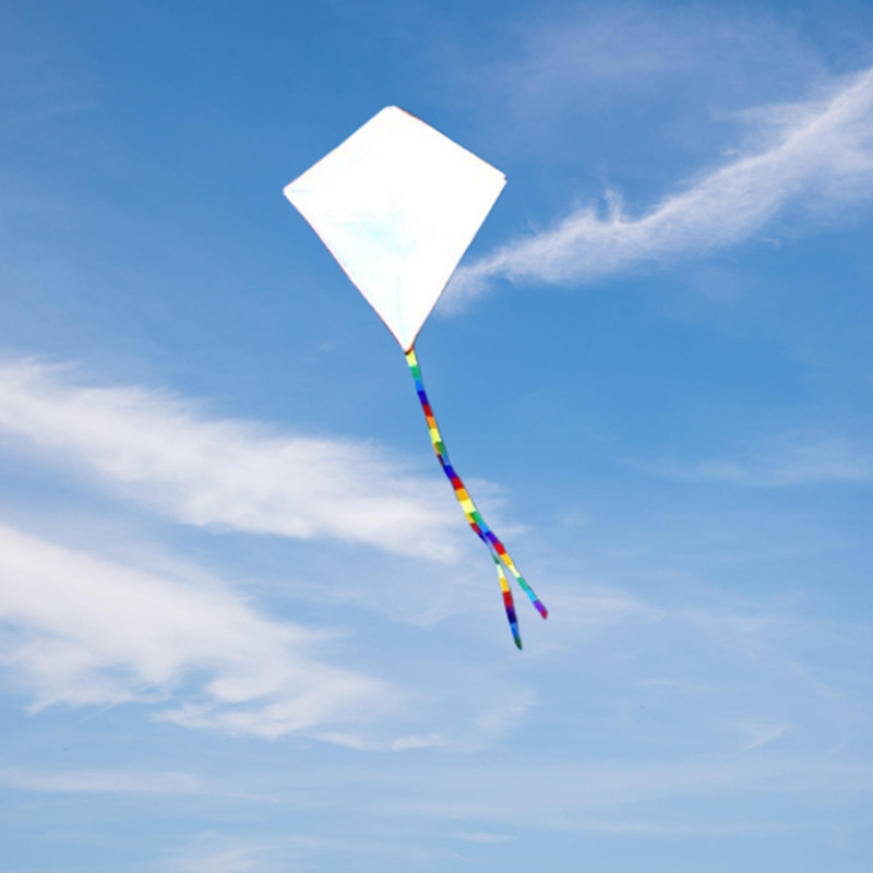 2 Stück DIY-Drachen aus Nylong – Kite Wind Outdoor Bewertung und Preis